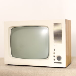 Tv Vintage Braun FS60