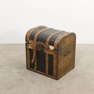 Petite Malle de Voyage en Cuir
